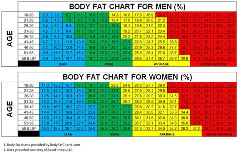 bmi calculator for muscular build|bmi calculator waist and neck.